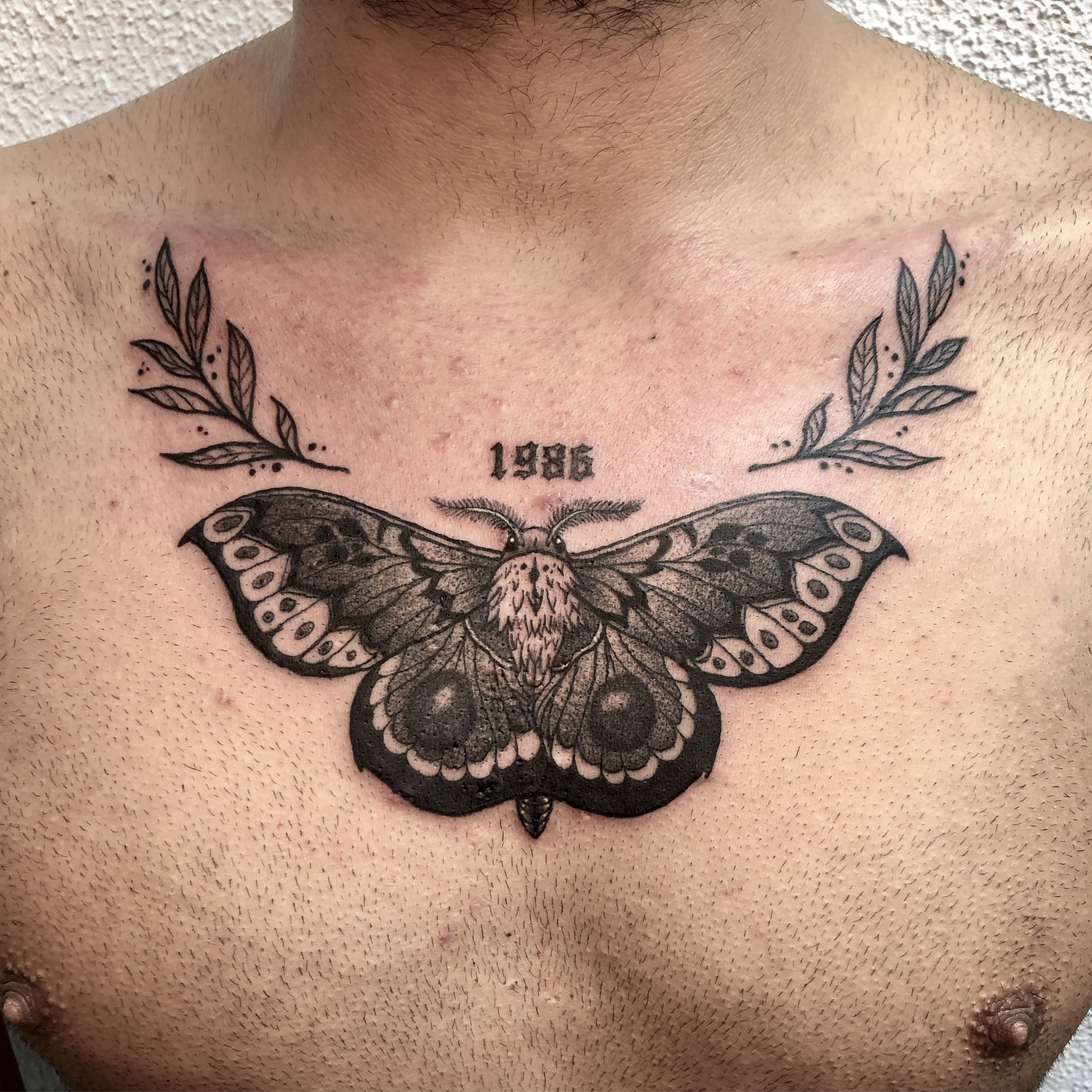 Discover more than 72 small moth tattoo  thtantai2