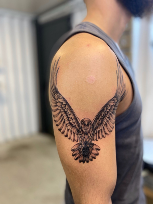 Perched eagle on me done by Alex Tzigos (goldtoof_ on IG) at Amulet tattoos  in St. Pete Fl. : r/traditionaltattoos