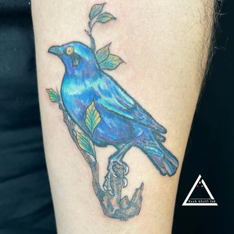 My Neo Traditional BlueJay tattoo design : r/TattooDesigns